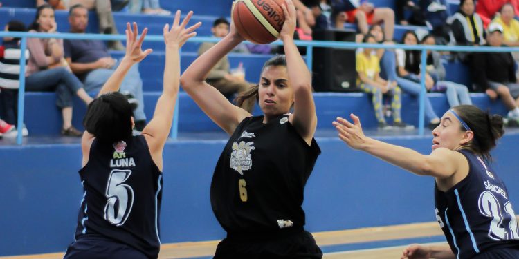 Mieleras comienza la búsqueda de un nuevo título de la LMBPF a partir del 17 de febrero