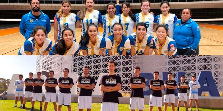 Disputan cetro en IX Copa Abejas UG de voleibol
