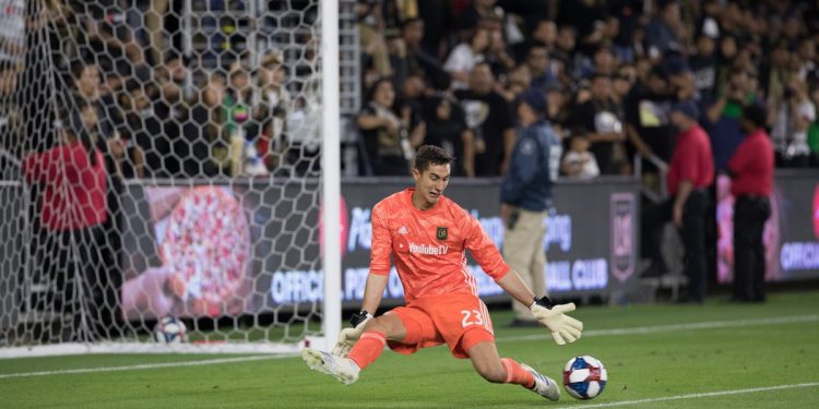 Siete y contando… Titánicos cae ante Halcones de Xalapa