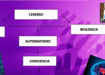 Presentan la conferencia virtual ‘Hábitos, construcción y retos. Motivación o aburrimiento’