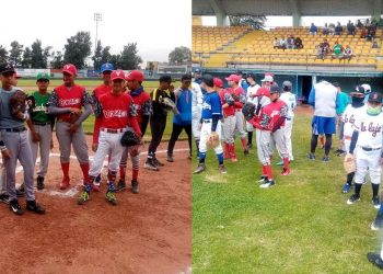 Academia de Beisbol de CODE Guanajuato celebran con éxito visorías en Celaya, Guanajuato