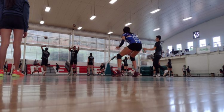 Virtus Guanajuato realiza con éxito sus try outs