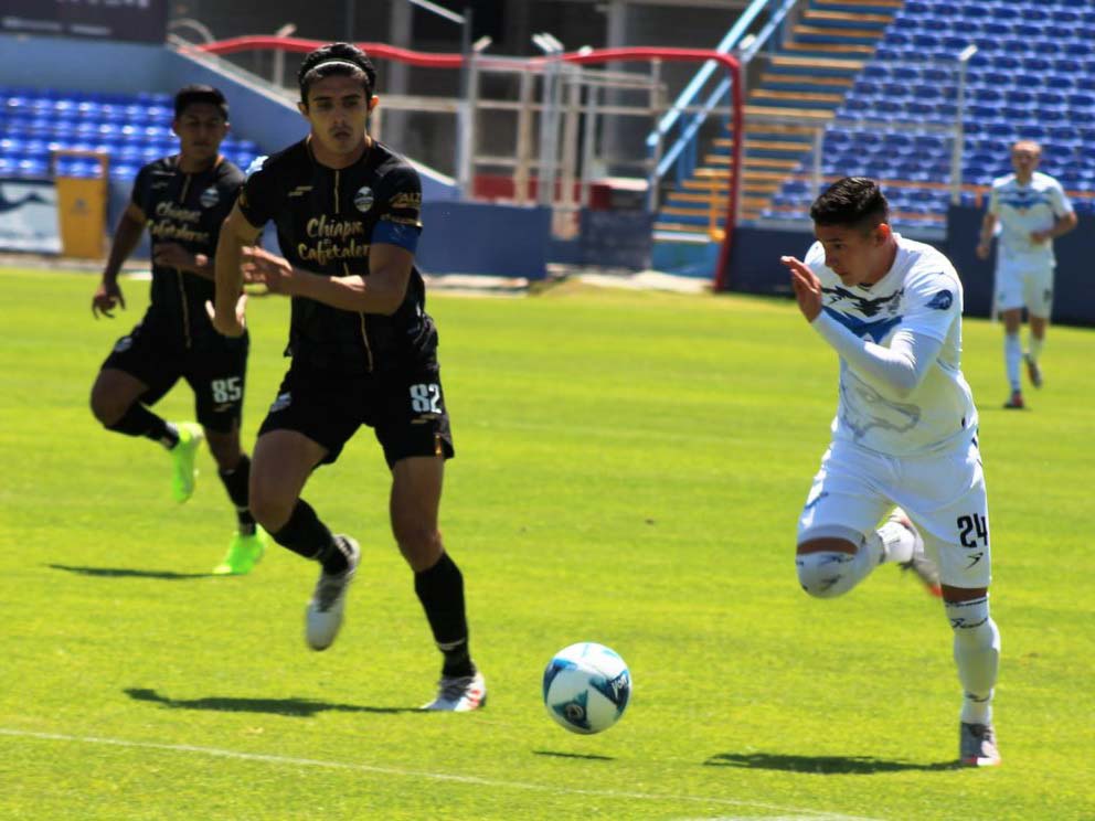 Alarga Lobos ULMX racha sin perder pero cede dos puntos en casa ante Cafetaleros