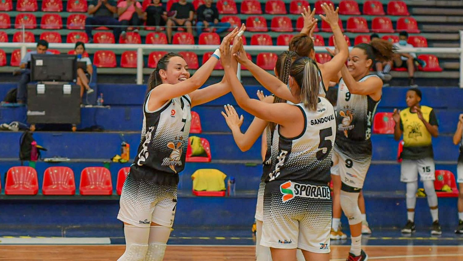 Escaramuzas, rival de Mieleras de Guanajuato en la Final de Conferencia de la LMBPF