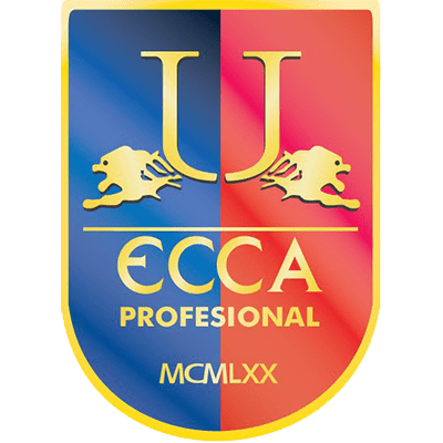 Calendario de equipos guanajuatenses en la Liga TDP