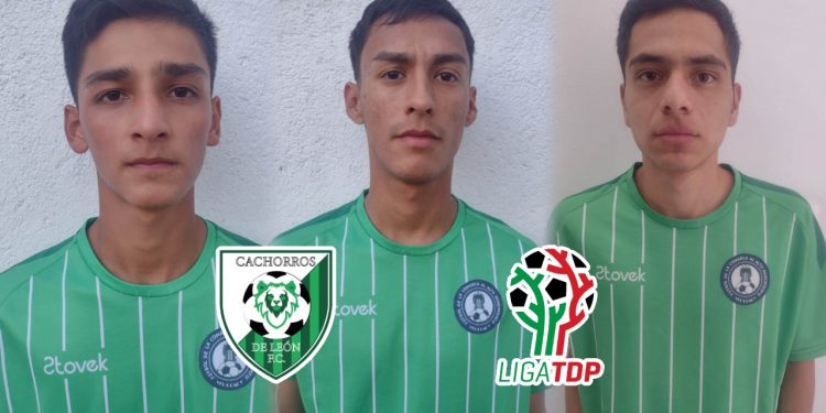 Cachorros de León se apuntala para la reanudación de la Liga TDP