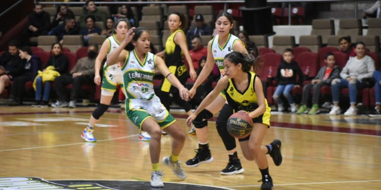 Cumple Mieleras de Guanajuato con serie perfecta ante Leñadoras de Durango