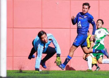 Sorprende Empresarios a Cachorros de León con goleada de visita