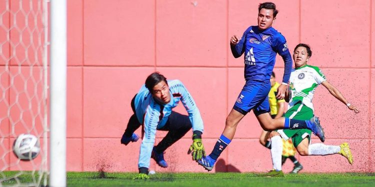 Sorprende Empresarios a Cachorros de León con goleada de visita