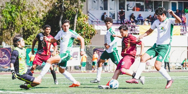 Cachorros, con triunfo; Atlético Leonés, en desventaja; así les fue en la liguilla de la Liga TDP