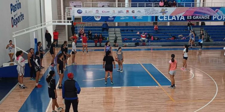 Realizan Toritas Celaya su try out con miras a su debut en la LMBPF