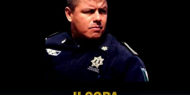 En febrero próximo arranca la conformación de la Selección Nacional de Sambo