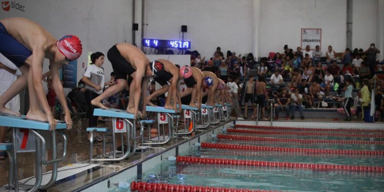 Alberga Celaya el Campeonato Estatal de Natación CC