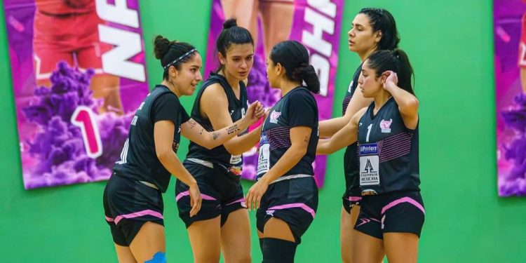 Dura derrota para Toritas de Celaya en el cierre de la serie ante Libélulas