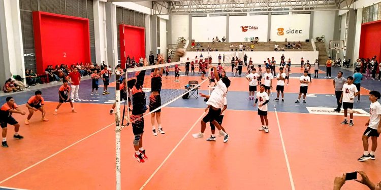 Celaya recibe a más de 500 niños en el Festival Estatal Infantil de Voleibol