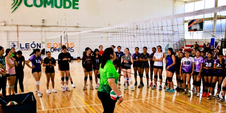 León da el primer paso hacia el voleibol profesional femenil con la creación de las Leonas