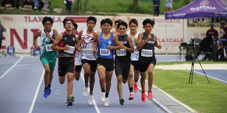 Define Guanajuato a sus representantes para la Olimpiada Nacional 2026 en 10 disciplinas