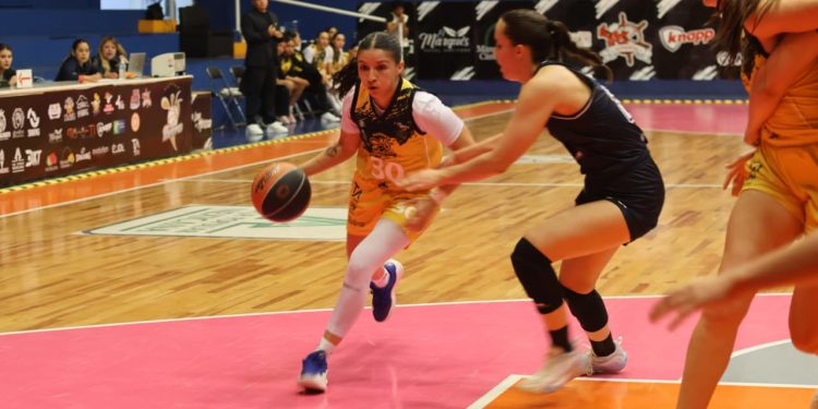 Mieleras de Guanajuato vence a Toritas, pero cae en alineación indebida y perdería por default