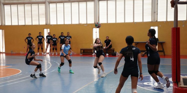 Olimpiada Nacional: Guanajuato define delegaciones vastas en clavados, tenis, ajedrez y voleibol