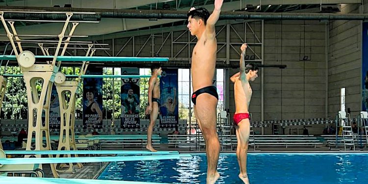 El estado de Guanajuato será sede del Campeonato Juvenil de Clavados con presencia de 12 estados