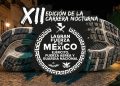 ​¡Prepara tus tenis! Anuncian fecha y premios para la 12ª Carrera Nocturna de Guanajuato