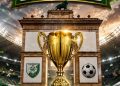 Copa Cachorros