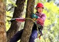 Mujeres arboristas escalan en León: 22 participantes de tres países se midieron en el Taller de Trepa de Árboles