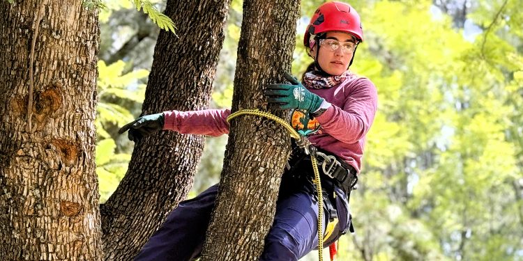 Mujeres arboristas escalan en León: 22 participantes de tres países se midieron en el Taller de Trepa de Árboles
